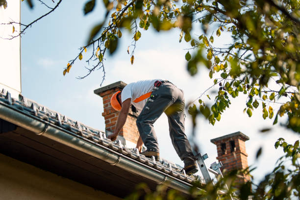 Gutter Installation and Roofing in Piney, AR